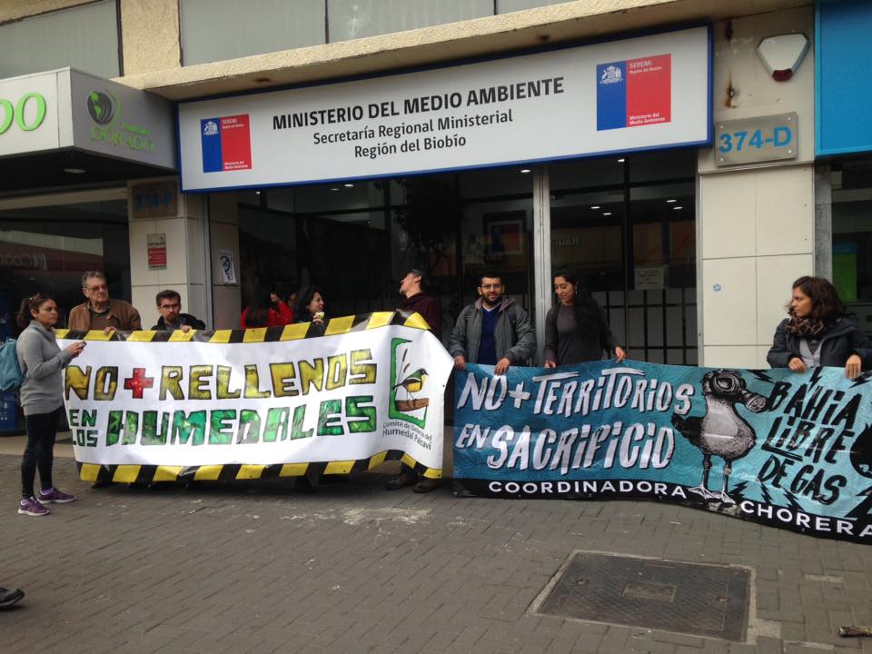 Organizaciones socioambientales exigen protección de Humedales Paicaví y Rocuant-Andalién