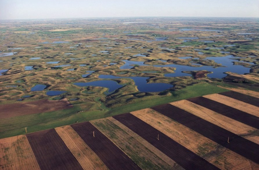 Trump elimina protección ambiental para arroyos y humedales