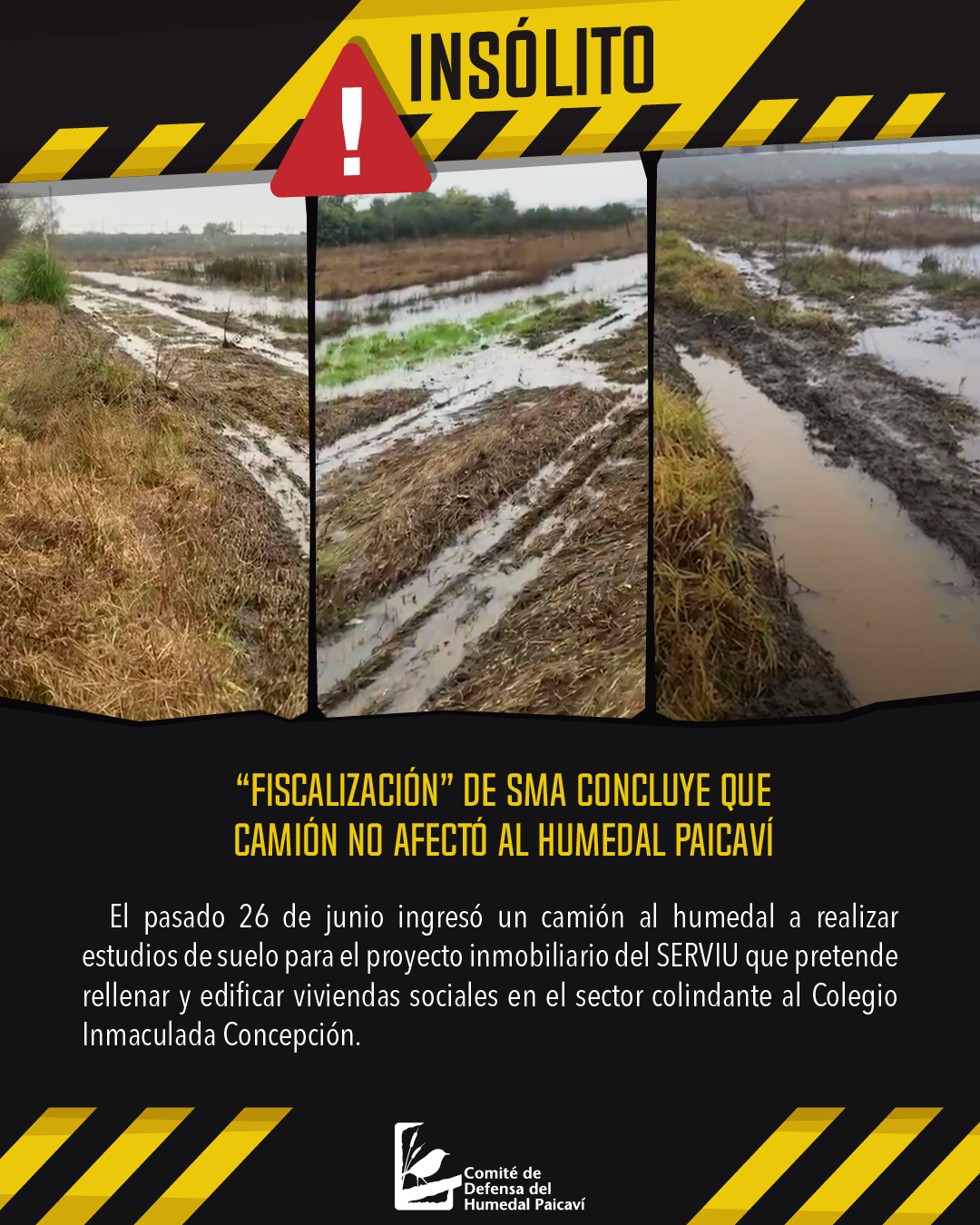 “Fiscalización” de SMA concluye que camión no afectó al Humedal Paicaví