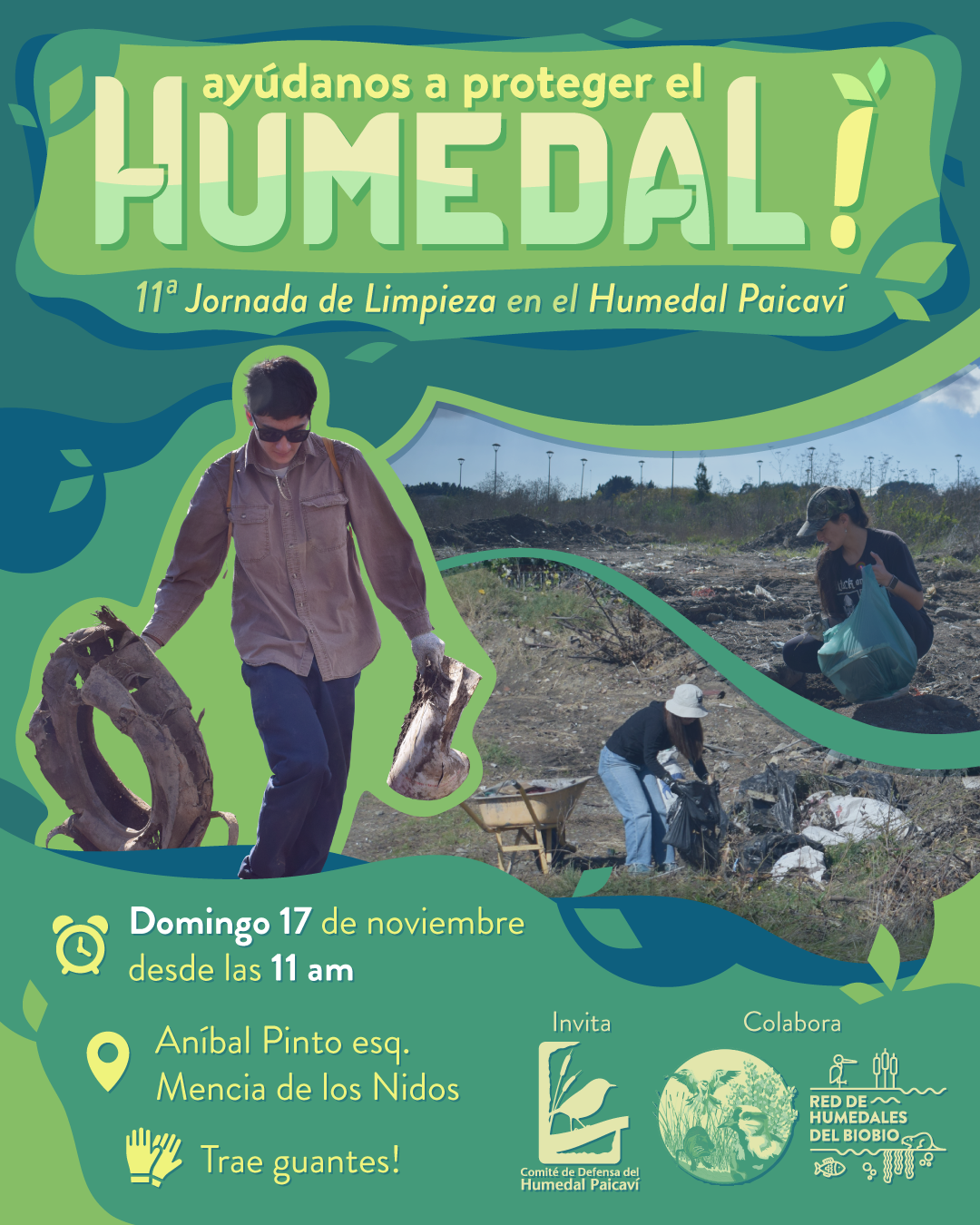 11a Jornada de Limpieza del Humedal Paicaví