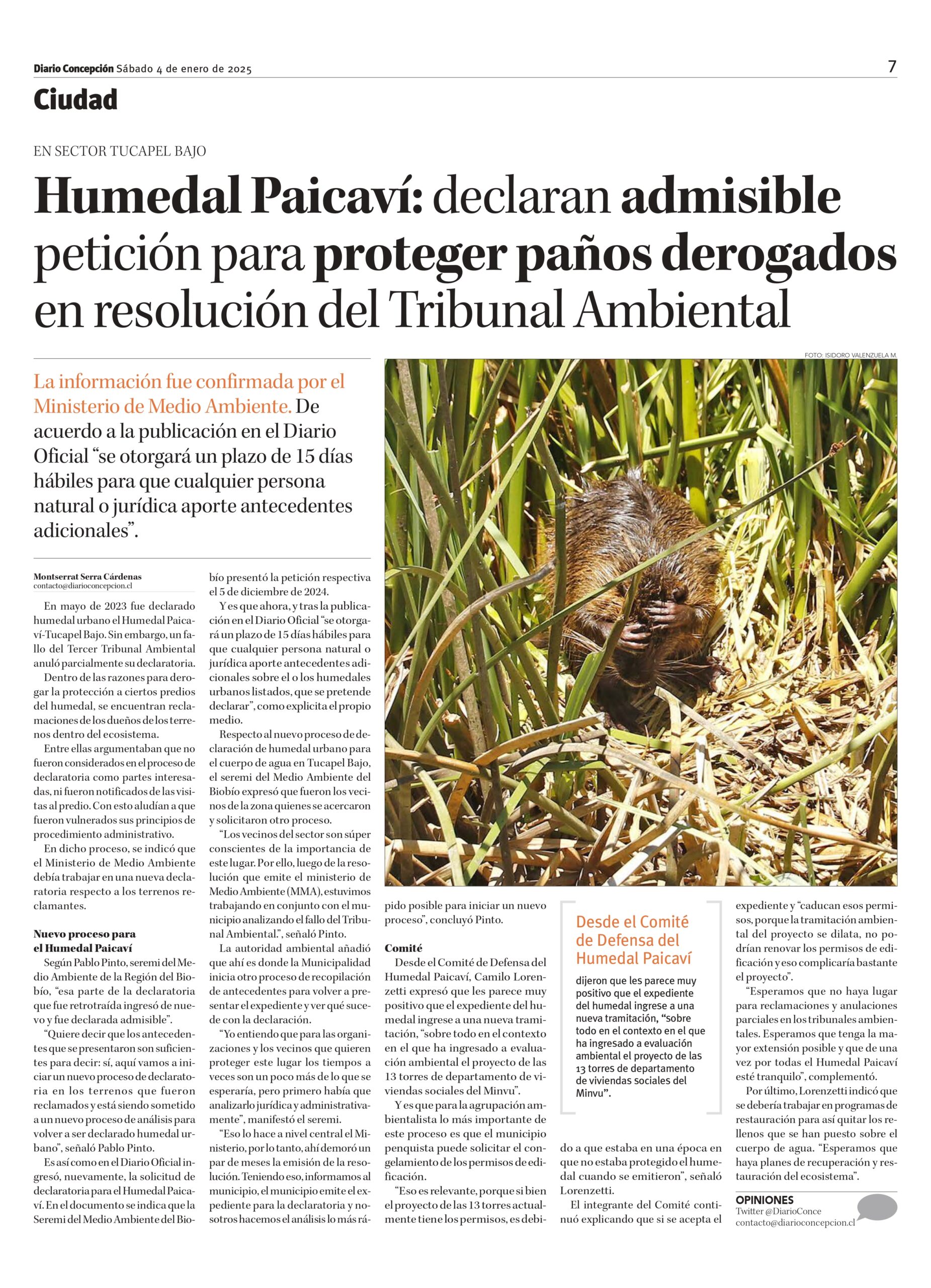 [Diario Concepción] Humedal Paicaví: declaran admisible petición para proteger paños derogados en resolución del Tribunal Ambiental