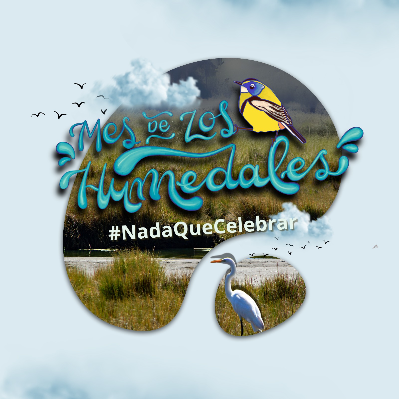 2 de febrero: Día Mundial de los Humedales