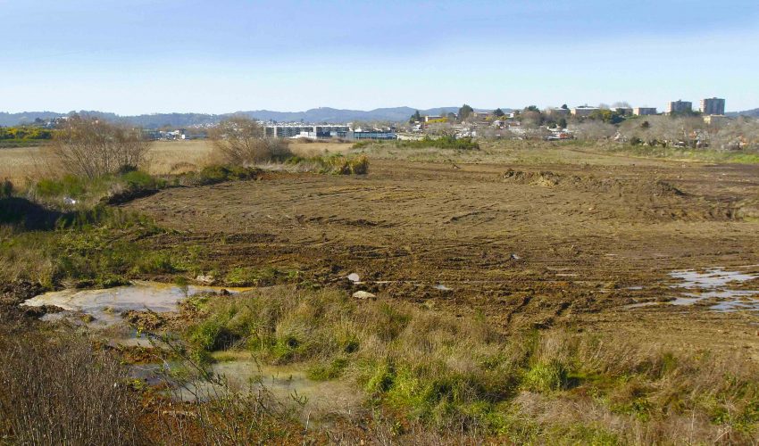 [Diario Concepción] Iniciarán Consulta Ciudadana por construcción de 19 torres de departamentos en Fundo Laguna Redonda
