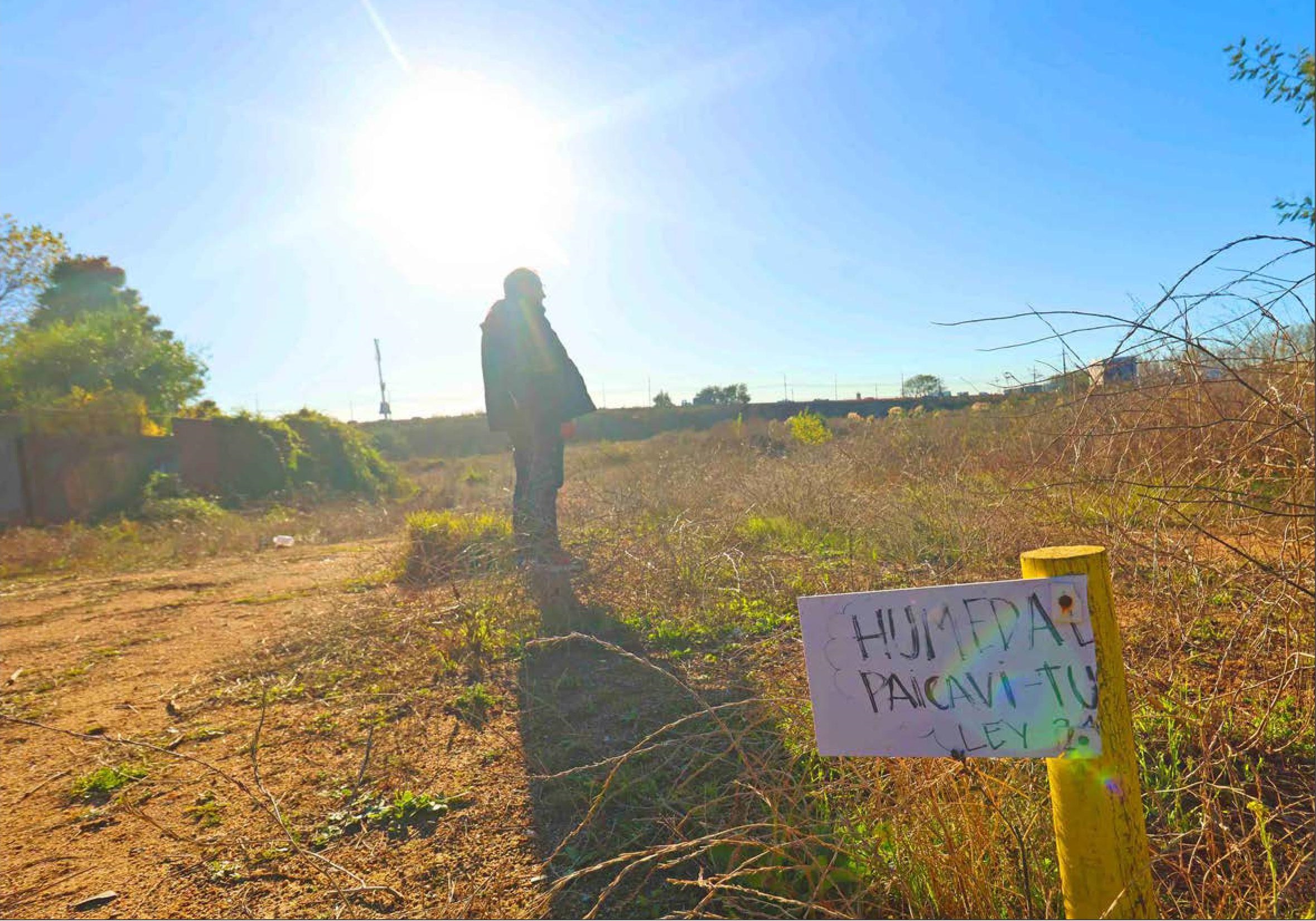 [Diario Concepción] Viviendas en Humedal Paicaví: empresa pide prórroga para responder a observaciones ambientales